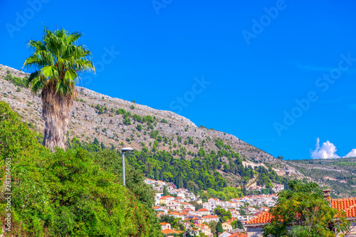 landscape of Dubrovnik in the summer day 