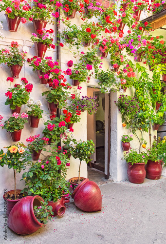 Nice patio with flowers and...