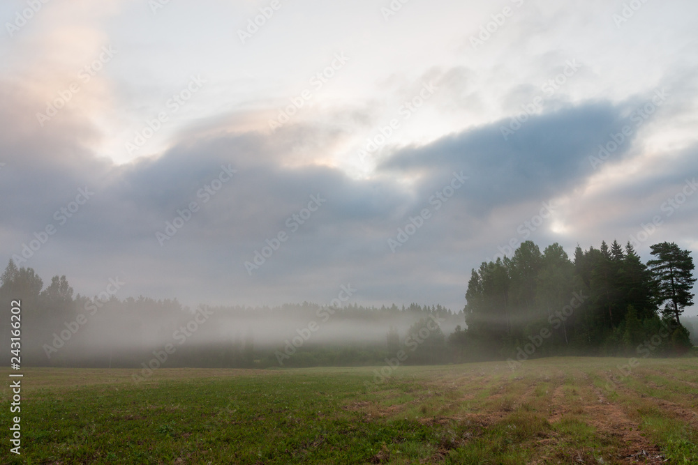 Grassland field landscape at foggy morning Grassland field landscape at foggy morning