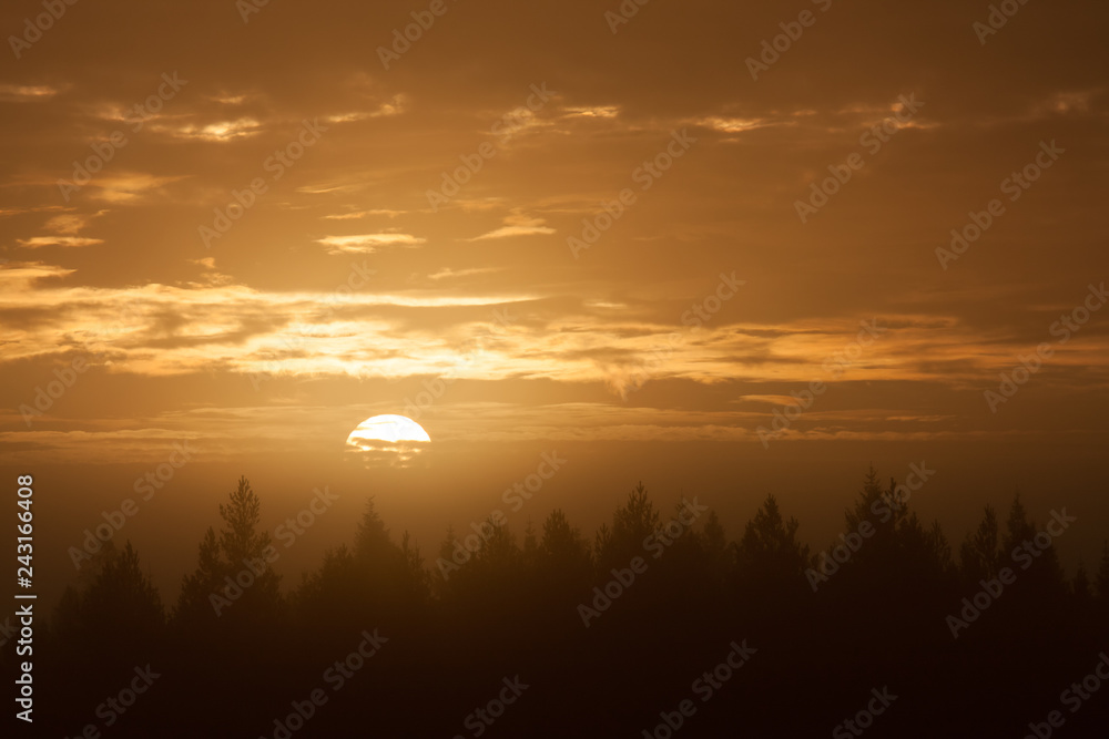 Early foggy morning sunrise above forest landscape Early foggy morning sunrise above forest landscape