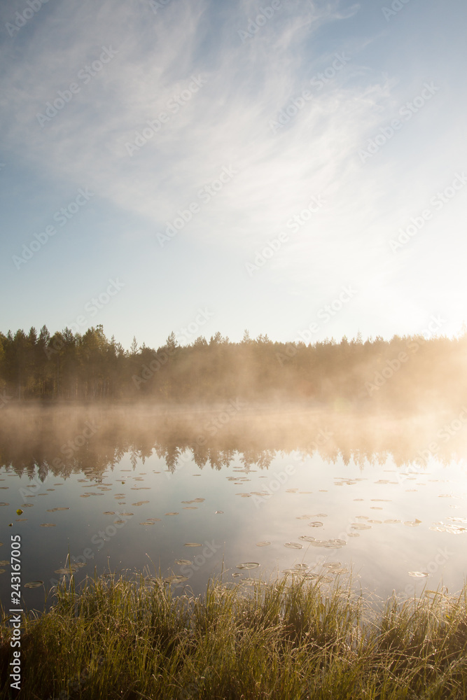 Forest lake landscape summer sunrise in Finland