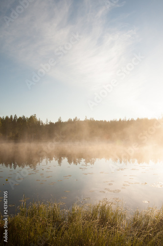Forest lake landscape summer sunrise in Finland