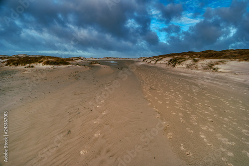 Dunes on the North Frisian Island Amrum in Germany