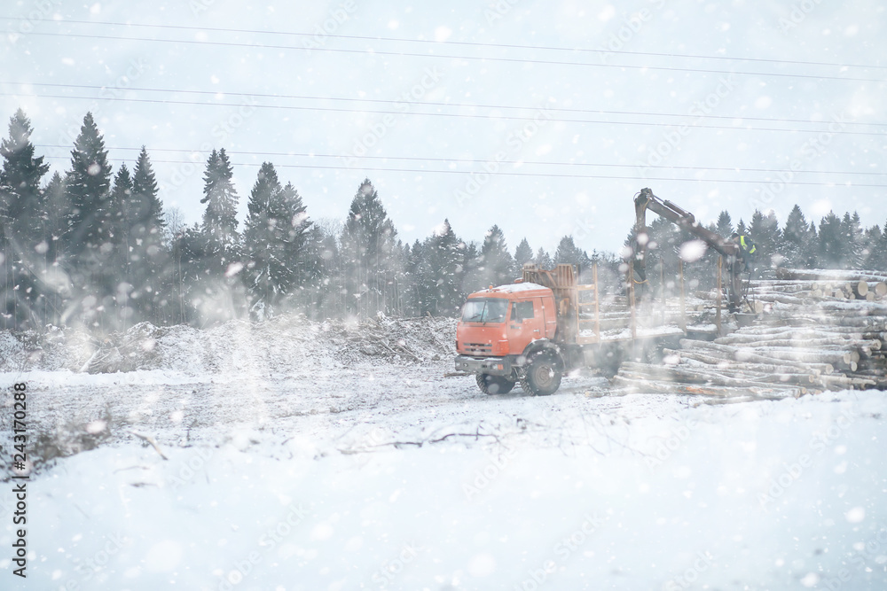 A lorry transports log in the back. Timber truck A lorry transports log in the back. Timber truck