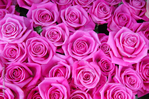Pink roses bouquet background 