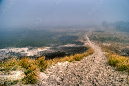 Dunes on the North Frisian Island Amrum in Germany