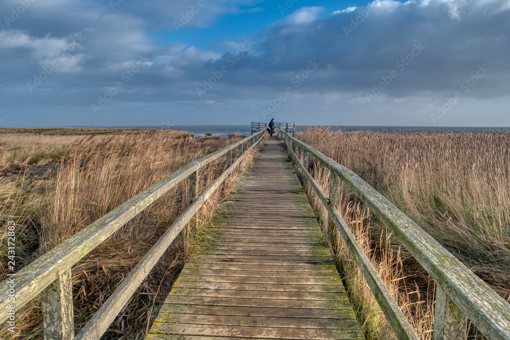Obraz premium On the North Frisian Island Amrum in Germany
