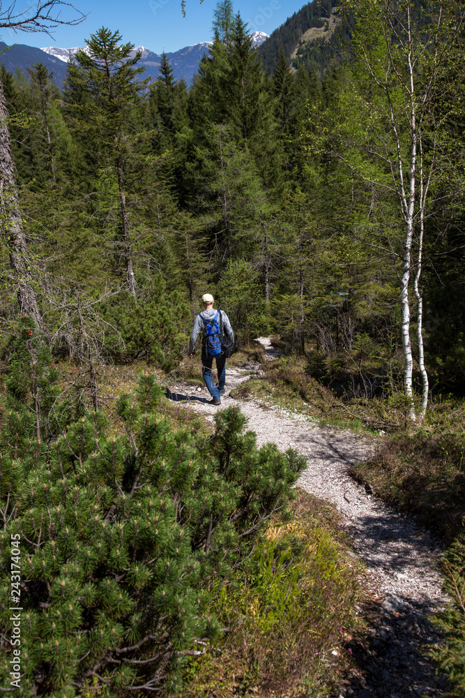 Hiker following a dirt road through the woods of Ehrwald, Austria on a beautiful sunny day.