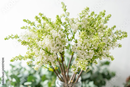 Bunch white lilac in glass vase. Bouquet flowers on light background. Wallpaper. Spring flowering trees