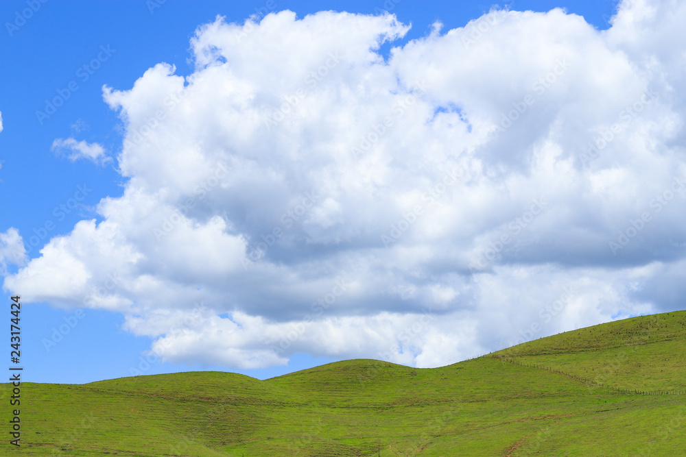 Pastures of the interior of Minas Gerais, municipality of Carangola (near the Caparaó National Park), Brazil.