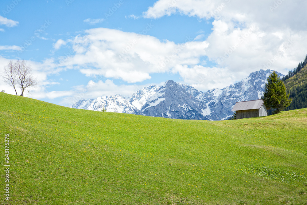 Beautiful alp meadows with stellar views on the hills and the Zugspitze mountain range near Lähn, Tyrol, Austria.