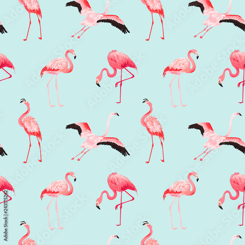 Tropical Flamingo seamless vector summer pattern. Exotic Pink Bird background for wallpapers, web page, texture, textile. Nature Wildlife Fauna Design © wooster