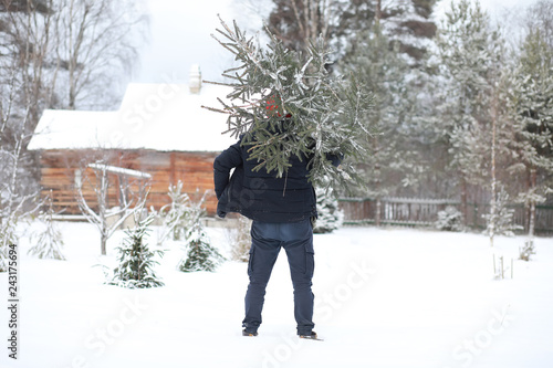 A man with a cut Christmas tree on street. Preparation for the new year.
