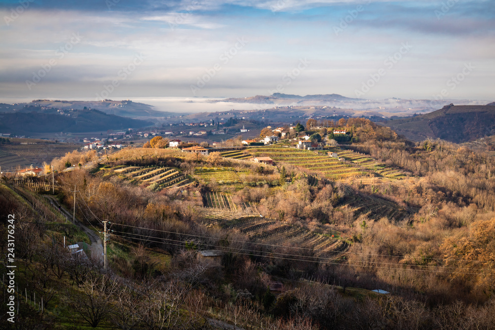 beautiful vineyard terraces in goriska brda in wintertime sunlight, slovenia