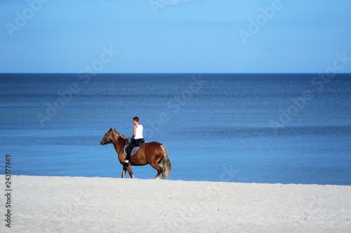 Man riding on a horse along the ocean shore on a beautiful sunny day