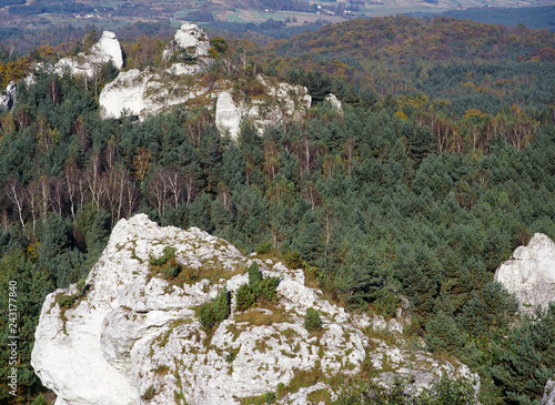 Zborow mountain, Jura Krakowsko-Czestochowska region, Poland photo