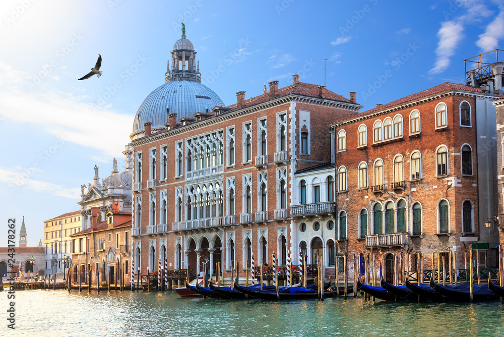 Grand Canal of Venice in Italy, view on Santa Maria della Salute basilica and gondolas