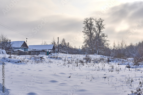 Several Russian houses in the village near the forest in winter © Pavlo