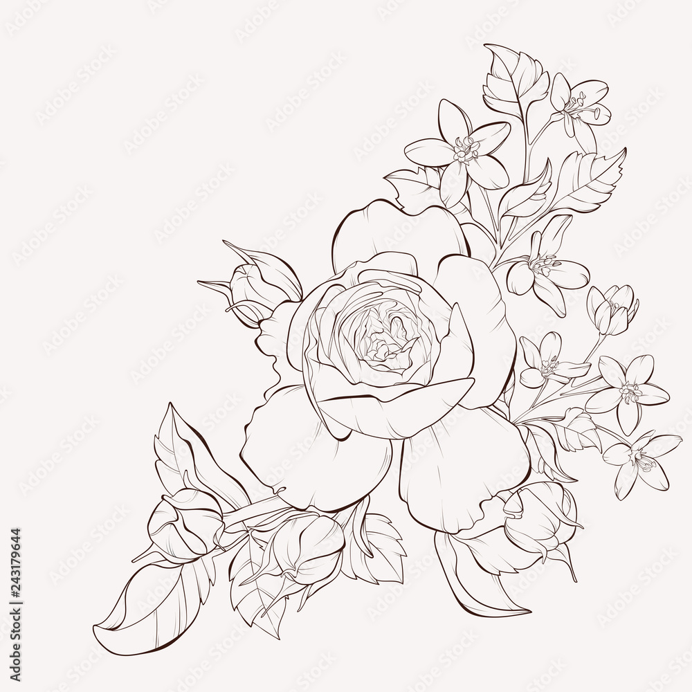 Vector rose with wild flower. Element for design. Hand-drawn contour lines and strokes. Vector rose with wild flower. Element for design. Hand-drawn contour lines and strokes.