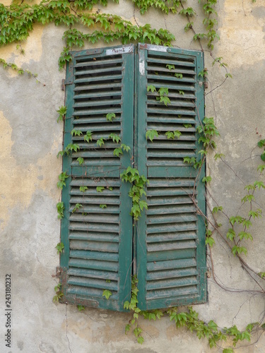 Lungo il Po tra Casale Monferrato e Trino Vercellese (Piemonte) photo