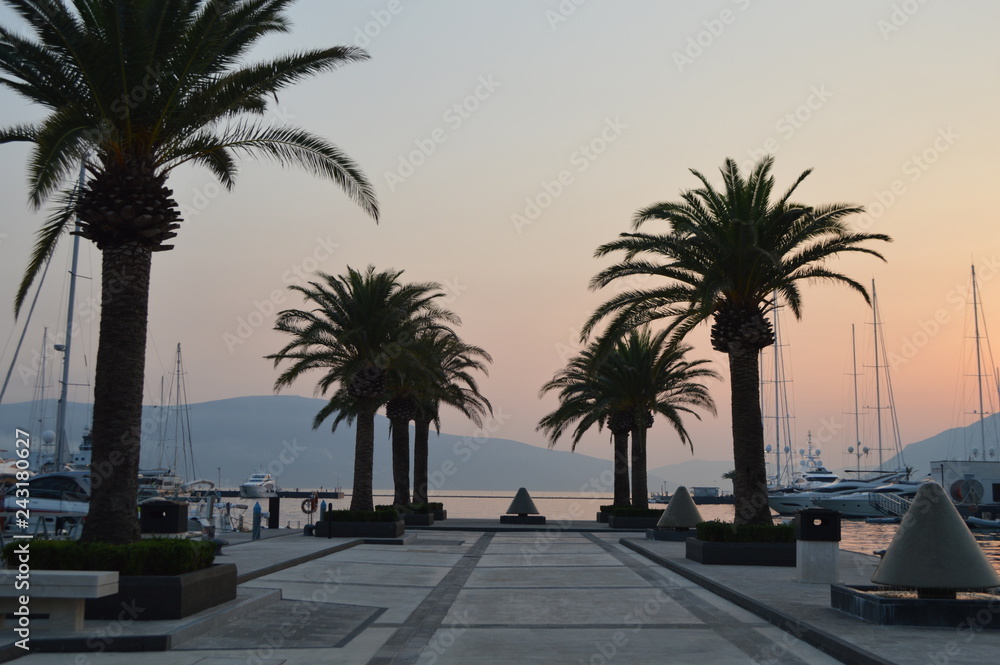 Port in Tivat