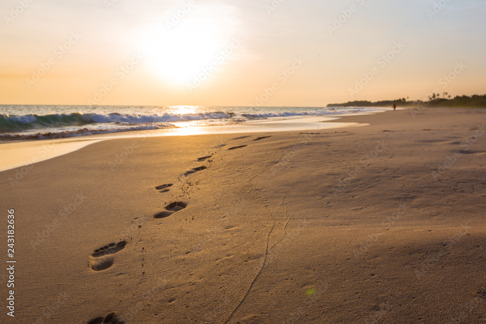 custom made wallpaper toronto digitalLandscape of sunset on paradise tropical beach in Sri Lanka