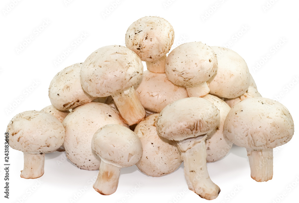 Button mushrooms Isolated Button mushrooms Isolated