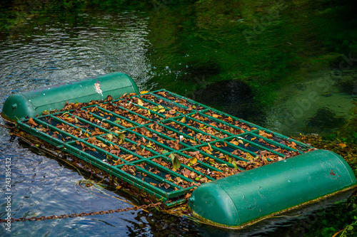 The ironic fishtrap in the water covered by leaves photo