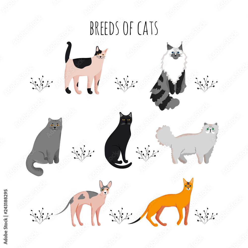 Set icons cartoon style of cat breeds. Cute characters for different design.