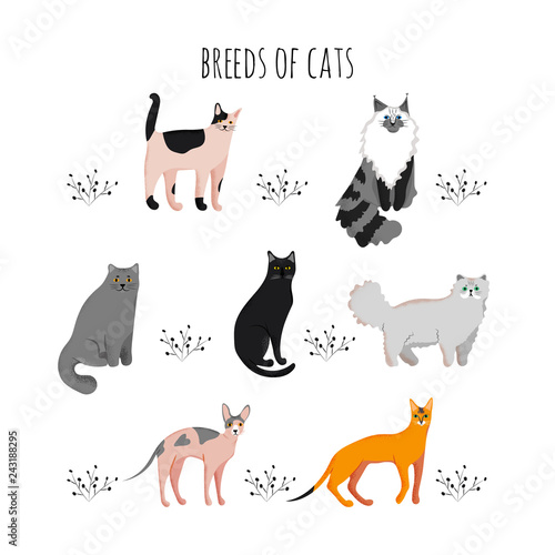 Set icons cartoon style of cat breeds. Cute characters for different design.