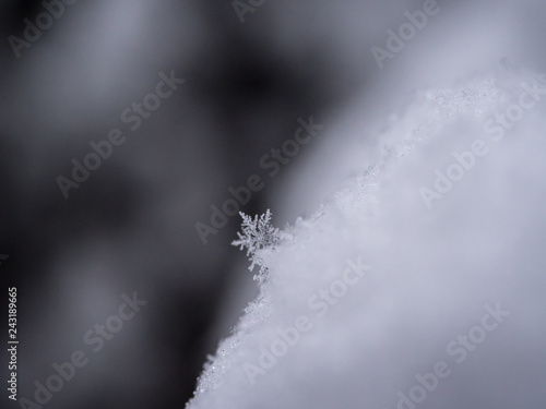 Snowflake closeup photo. Snow macro. Snowflake on macro photo. © Peter