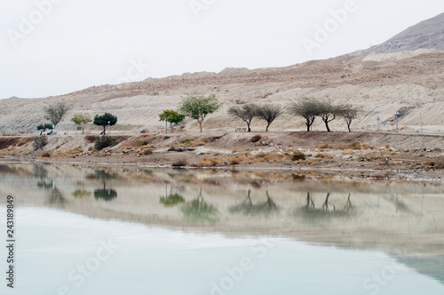 Dead Sea