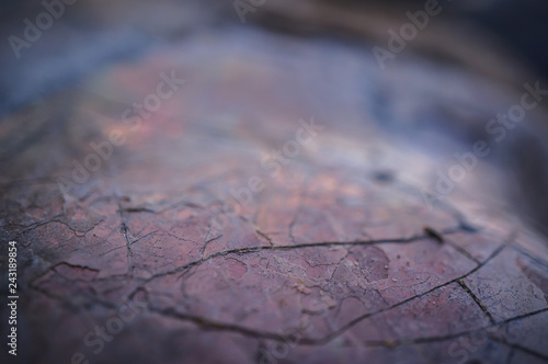 Cracked texture macro photo