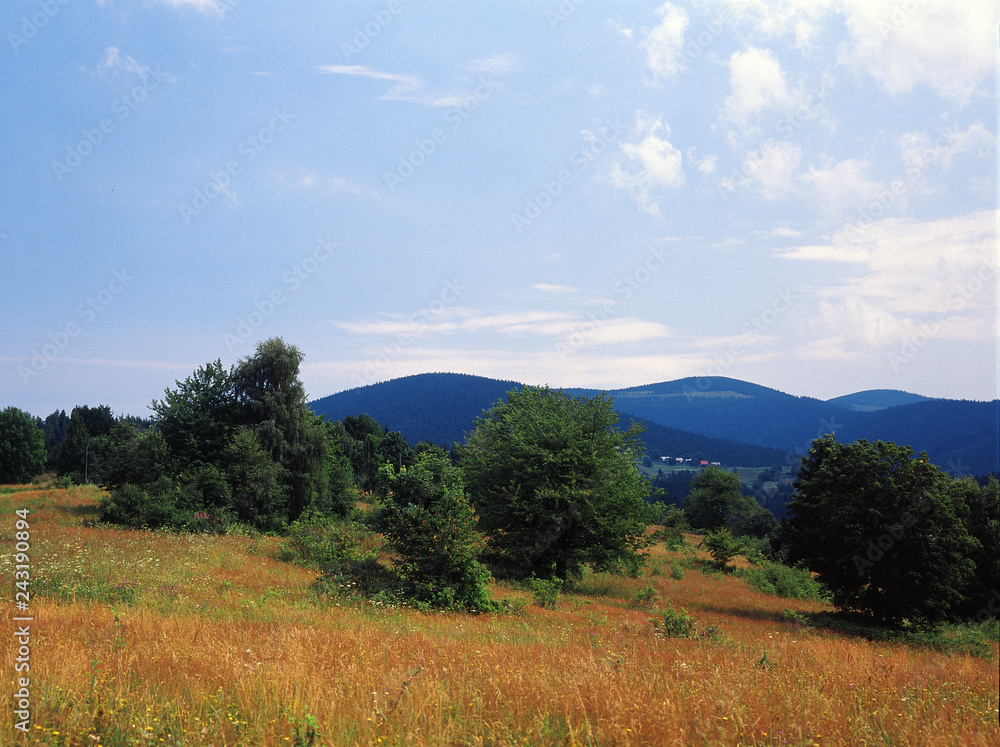 Beskid Zywiecki, Poland