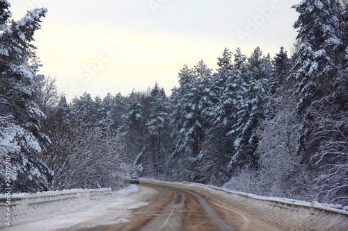 Winter day road landscape - frozen snowy trees forest on roadside