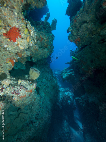 Unterwasserlandschaft