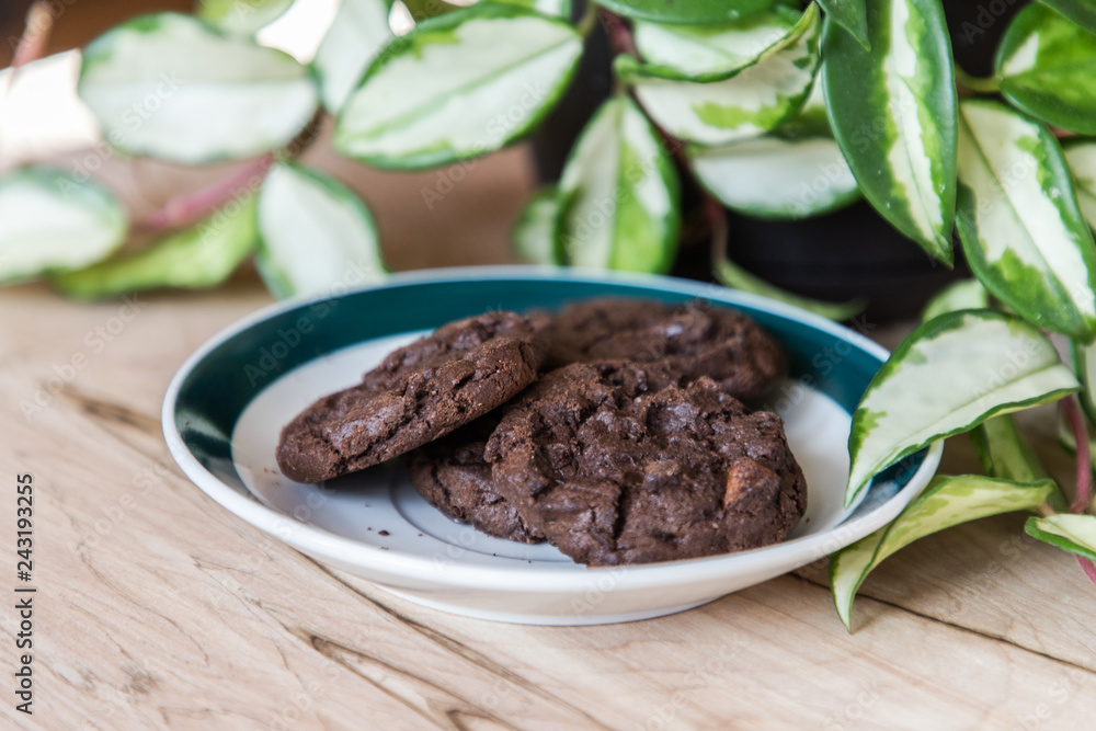 A plate of chocolate cookies on the foreground of a pot of green plant A plate of chocolate cookies on the foreground of a pot of green plant