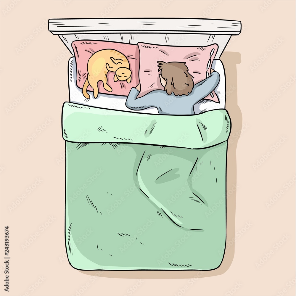 Girl sleeping peacefully in her bed with her cat. Top view. Cartoon style  modern vector image Stock Vector | Adobe Stock
