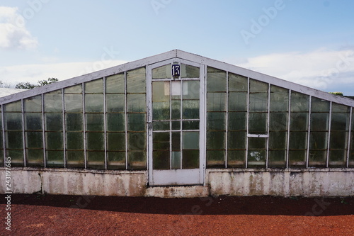 greenhouse in the garden, for pineapples, Azores, Europe