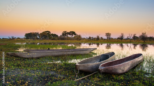 Mocorros of the Okavango Delta 