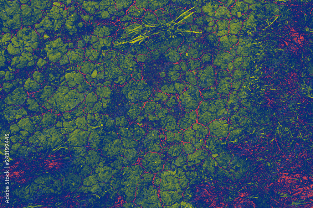 Dry land cracked earth for concept design. Abstract background. Barren earth. Crack soil ground texture background. Texture, background, pattern. Dry land cracked earth for concept design. Abstract background. Barren earth. Crack soil ground texture background. Texture, background, pattern.