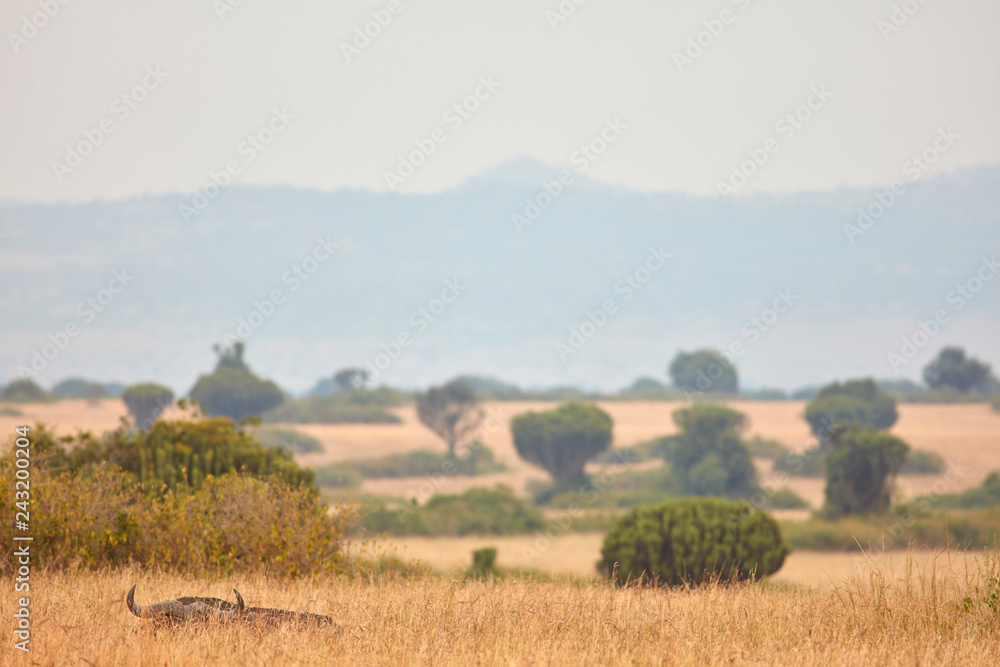 Queen Elizabeth Wildlife