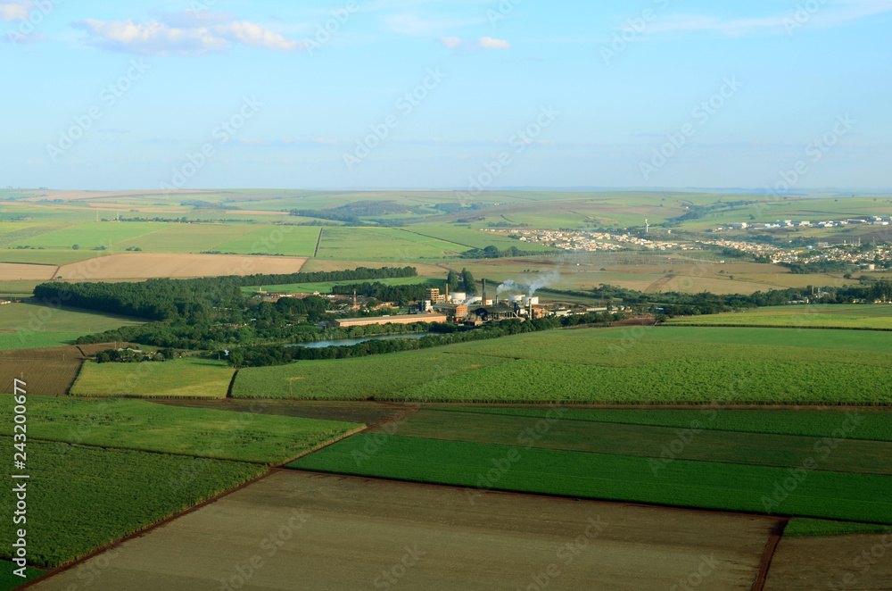 Brazilian agriculture and sugarcane cultivation