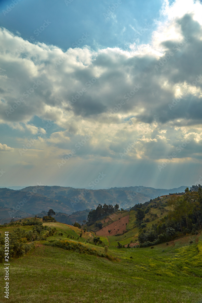 Fototapeta premium Ugandan Highlands