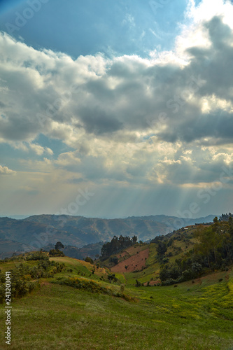 Ugandan Highlands