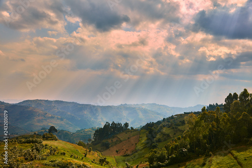 Ugandan Highlands