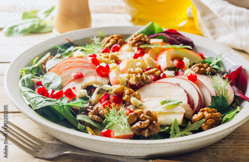 Healthy multi greens salad plate with apple, walnut, pomegranate, cheese photo