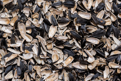 Obraz na plátně Sunflower seed shells isolated on white background