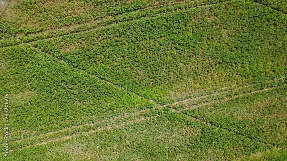 Irrigation system of fields. Aerial Irrigation system of fields. Aerial