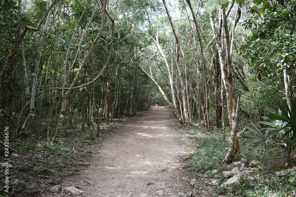 Ruinas Mayas Coba Ruinas Mayas Coba